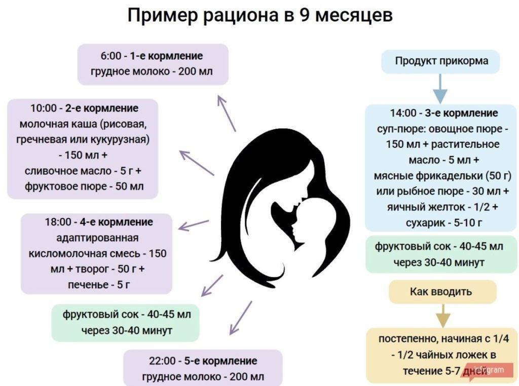 Можно ли ребенку в 9 месяцев. Рацион питания 9 месячного ребенка на гв. Рацион питания ребёнка в 9 месяцев на грудном вскармливании. Что должен кушать ребенок в 9 месяцев на искусственном вскармливании. Меню малыша в 9 месяцев на искусственном вскармливании.