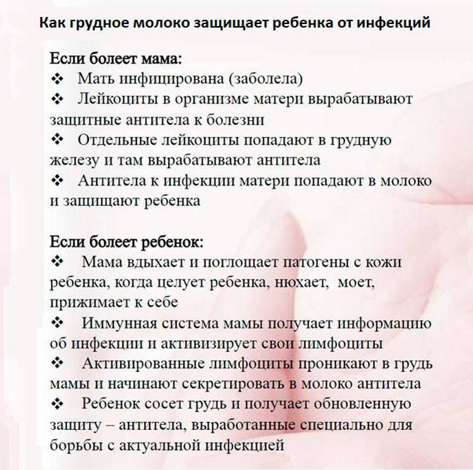Можно ли кормить грудным молоком при температуре у мамы