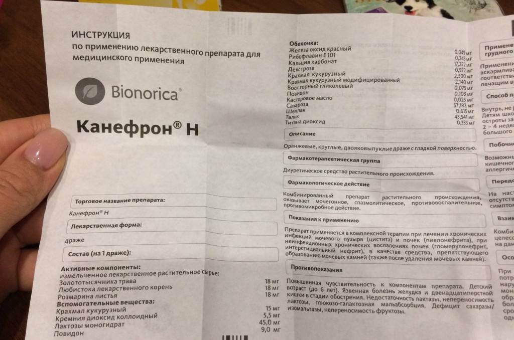 Канефрон для детей: инструкция по применению, отзывы и аналоги