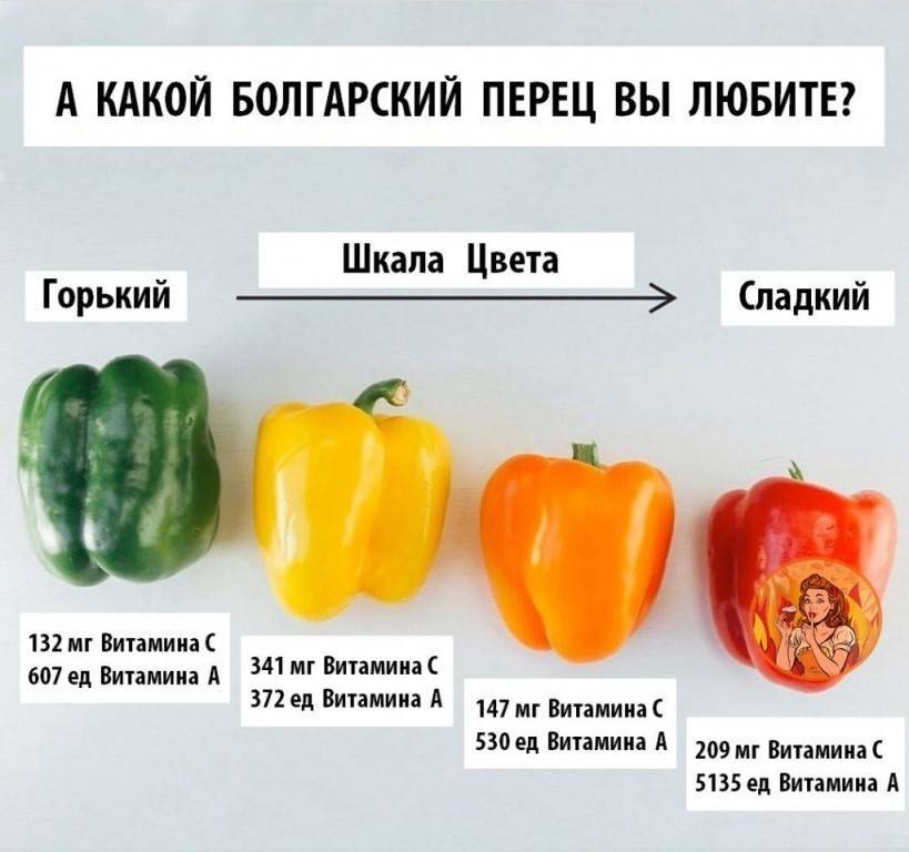 Рекомендации по введению болгарского перца в рацион мамы при грудном вскармливании и в прикорм ребенку