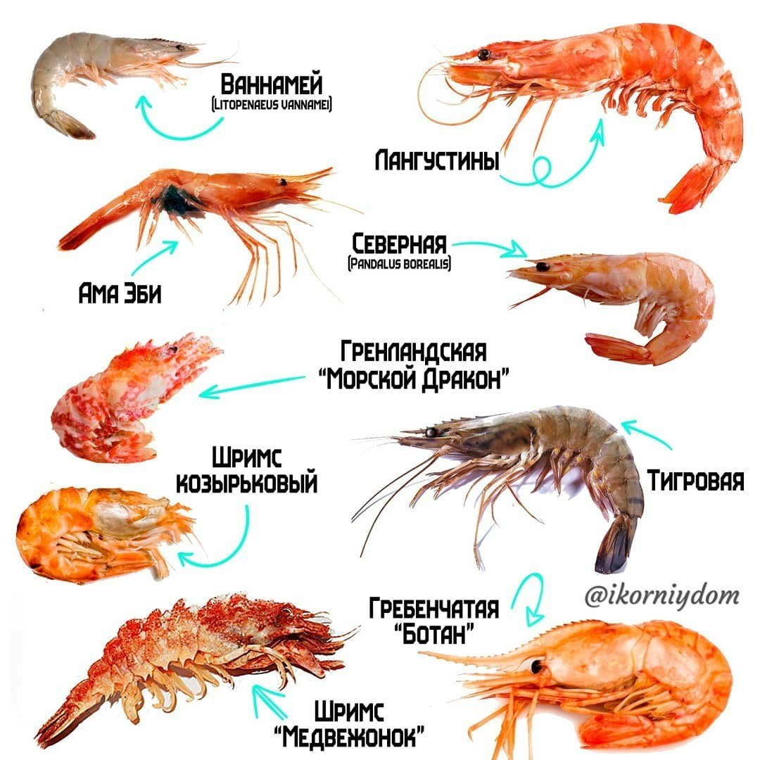 Креветка Дракон Купить В Москве