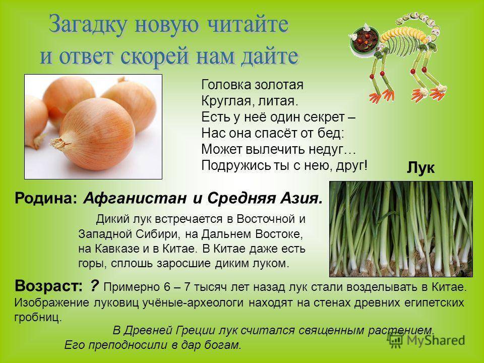 Можно ли зеленый лук ребенку в 1 год