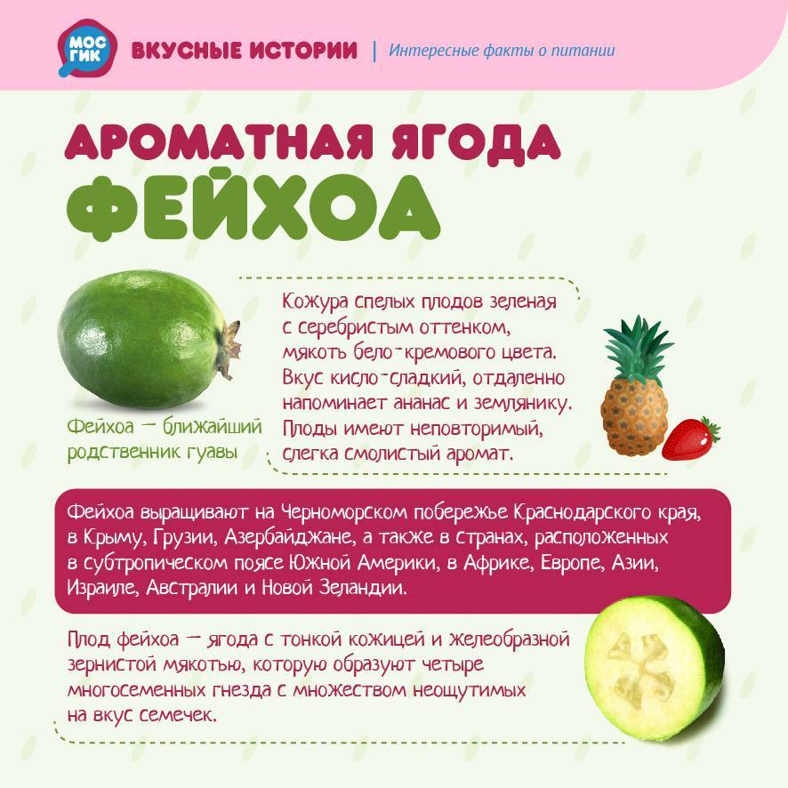 С какого возраста ребенку можно давать фейхоа?