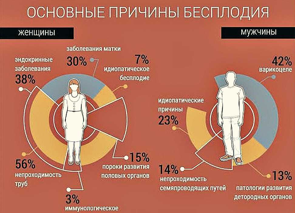 «мужской фактор» бесплодия: слово андрологу