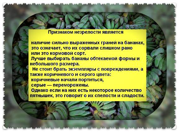 Бананы при грудном вскармливании: польза или вред?