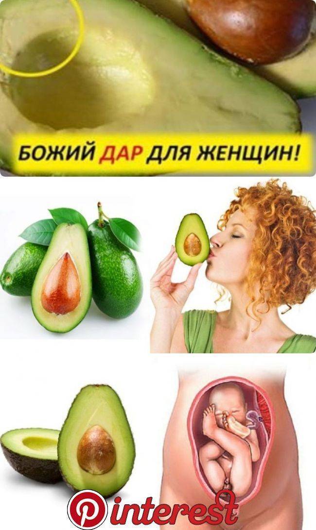 Авокадо при беременности - полезные свойства и вред