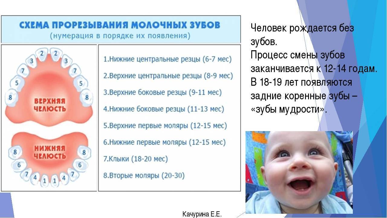 У ребенка не растут и не прорезываеются зубы: основные причины