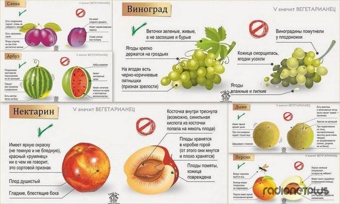 С какого возраста можно давать виноград детям