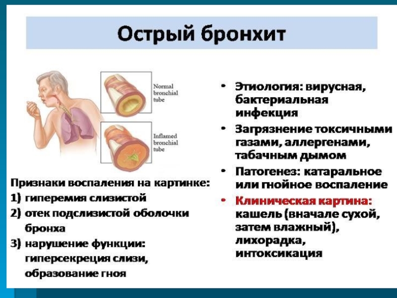 Отхаркивающие средства при кормлении грудью - ritty.ru
