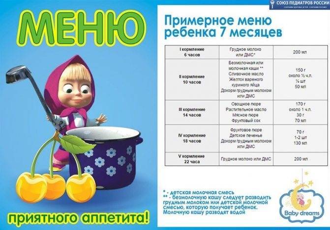 Питание ребенка в 7 месяцев – разнообразный и полезный рацион. ежедневное меню, новые продукты в питании 7-имесячного ребенка