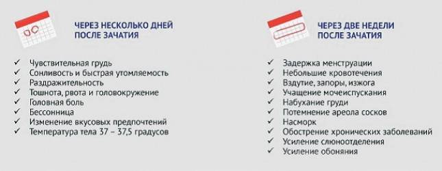 3 неделя беременности — беременность. беременность по неделям.