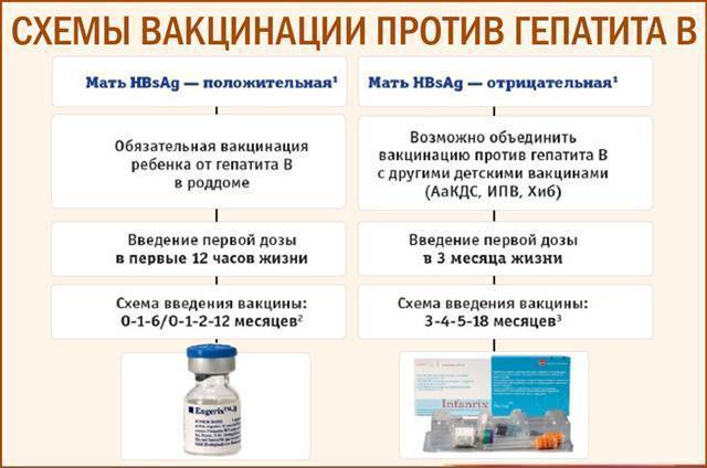 Ревакцинация от гепатита в взрослым схема вакцинации