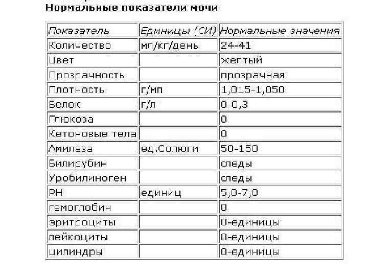 Прозрачная бесцветная моча: причины, хорошо или плохо, признак светлой мочи