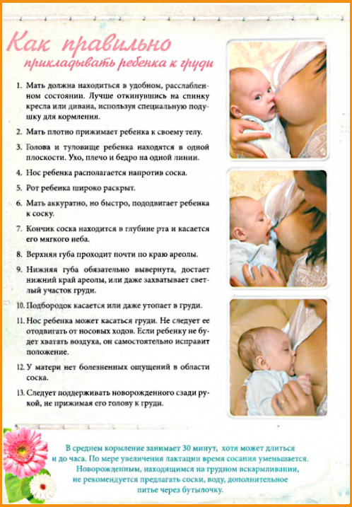 Новорожденный ребёнок постоянно висит на груди: что это значит?