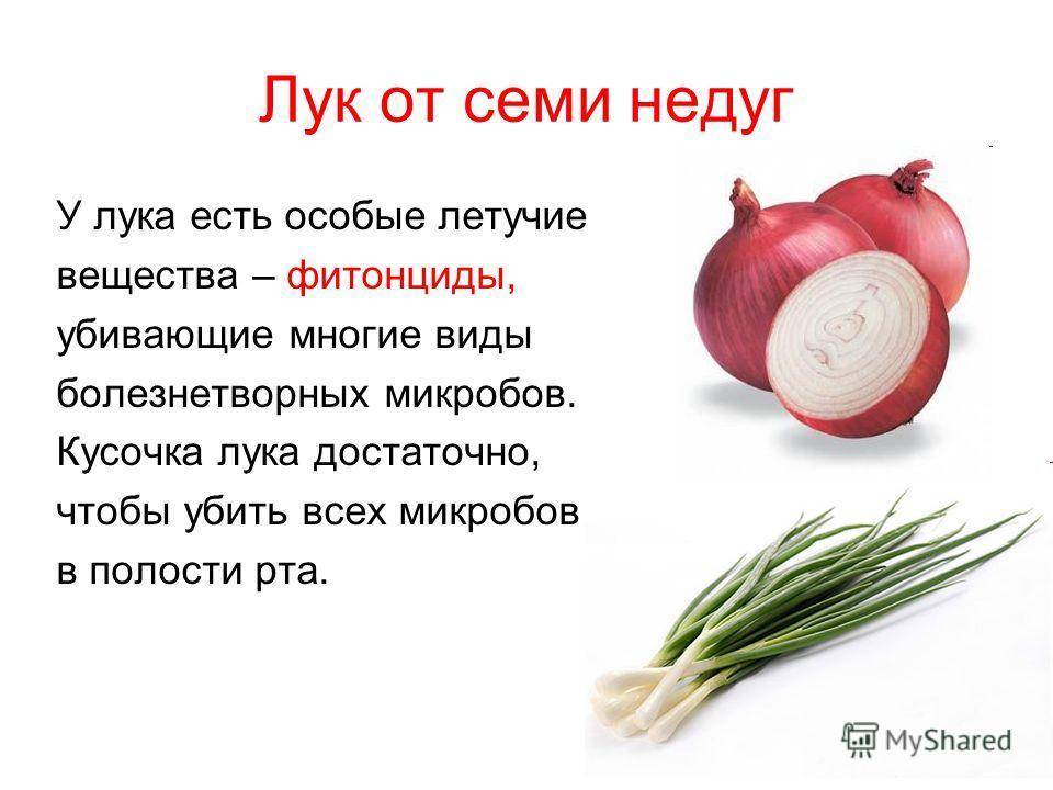 Можно ли детям лук