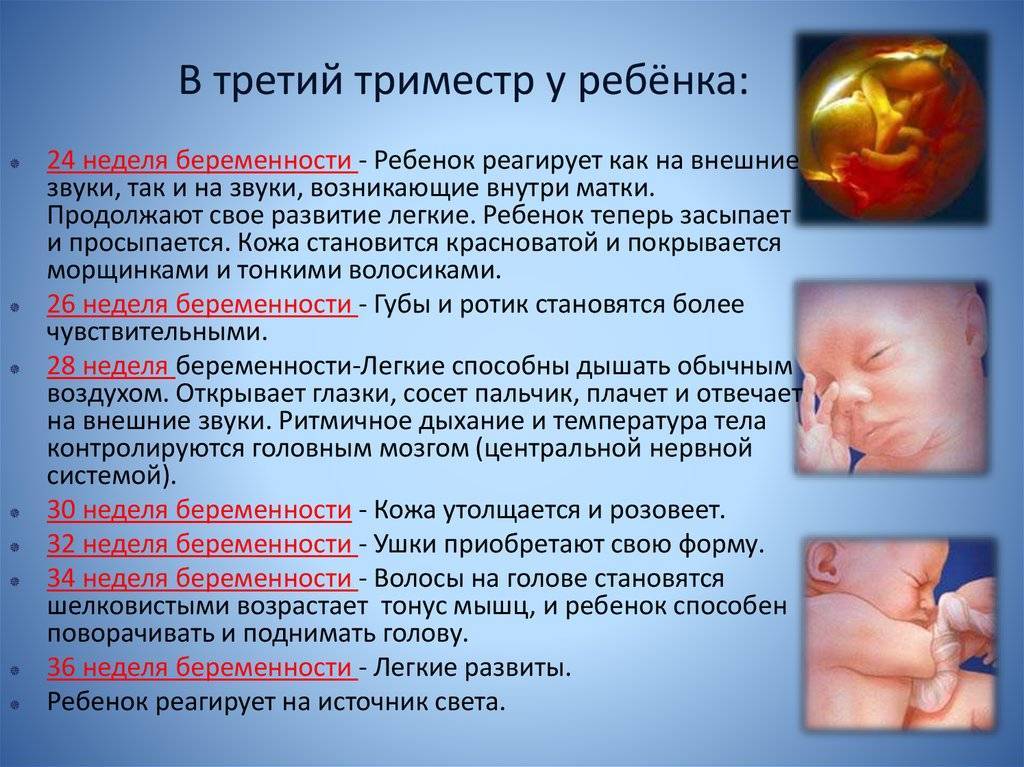 3 (третий) триместр беременности: с какой недели начинается, развитие плода, самочувствие женщины