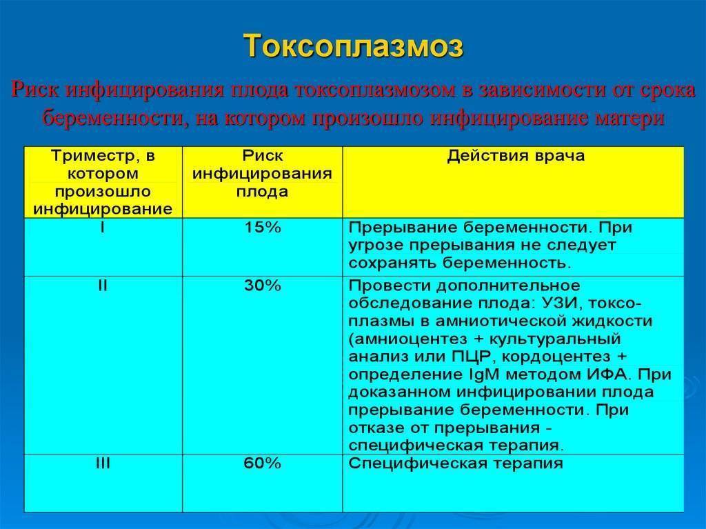 Токсоплазмоз у беременных презентация