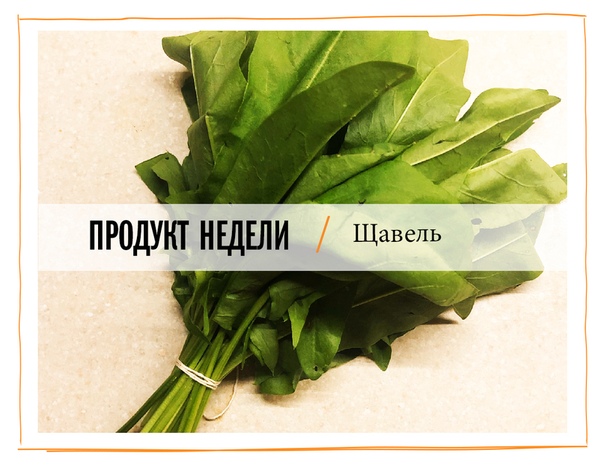 С какого возраста можно щавель ребенку