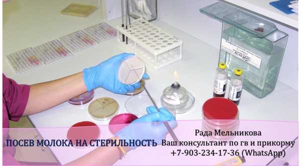 Посев грудного молока: делать или нет?
