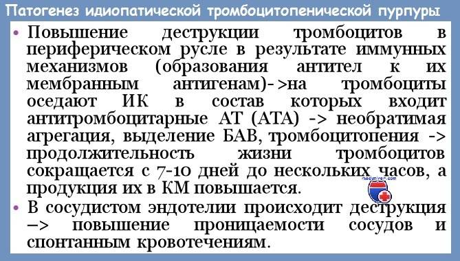 Тромбоцитопеническая пурпура: что это такое, лечение, клиника, причины