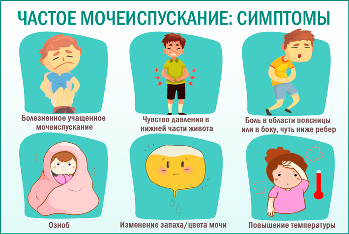 Учащенное мочеиспускание: причины, симптомы, лечение | food and health