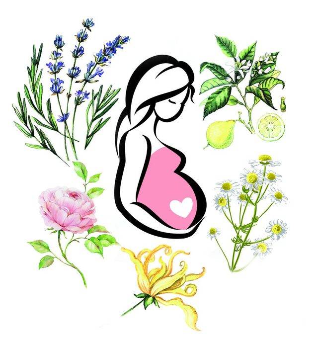 Какие эфирные масла разрешены при беременности: можно ли розмарин и лаванду беременным, как применять?