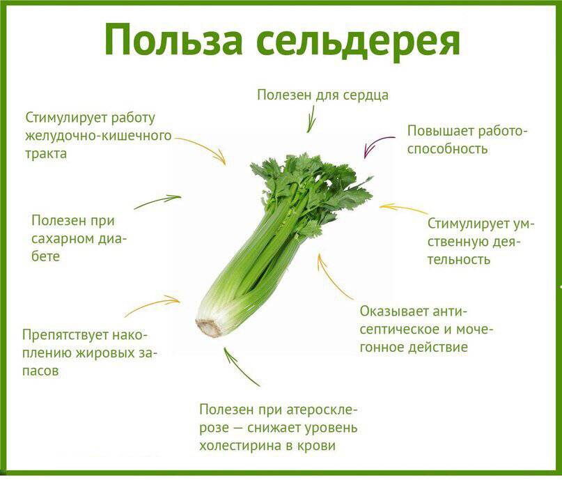 Корица при грудном вскармливании: как часто следует применять
корица при грудном вскармливании: как часто следует применять