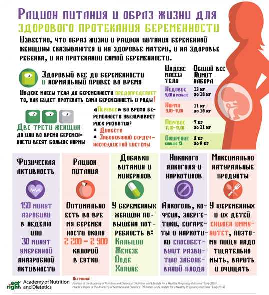 Питание во время беременности: по неделям и триместрам