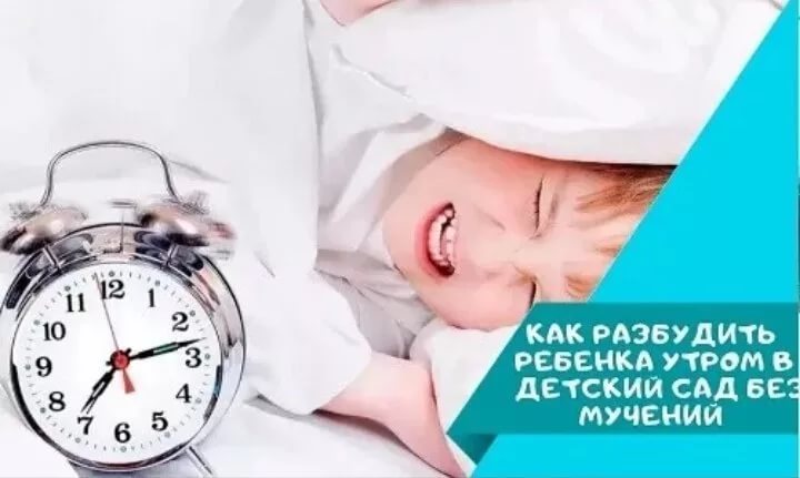 12 советов как приучить ребенка к садику без слез