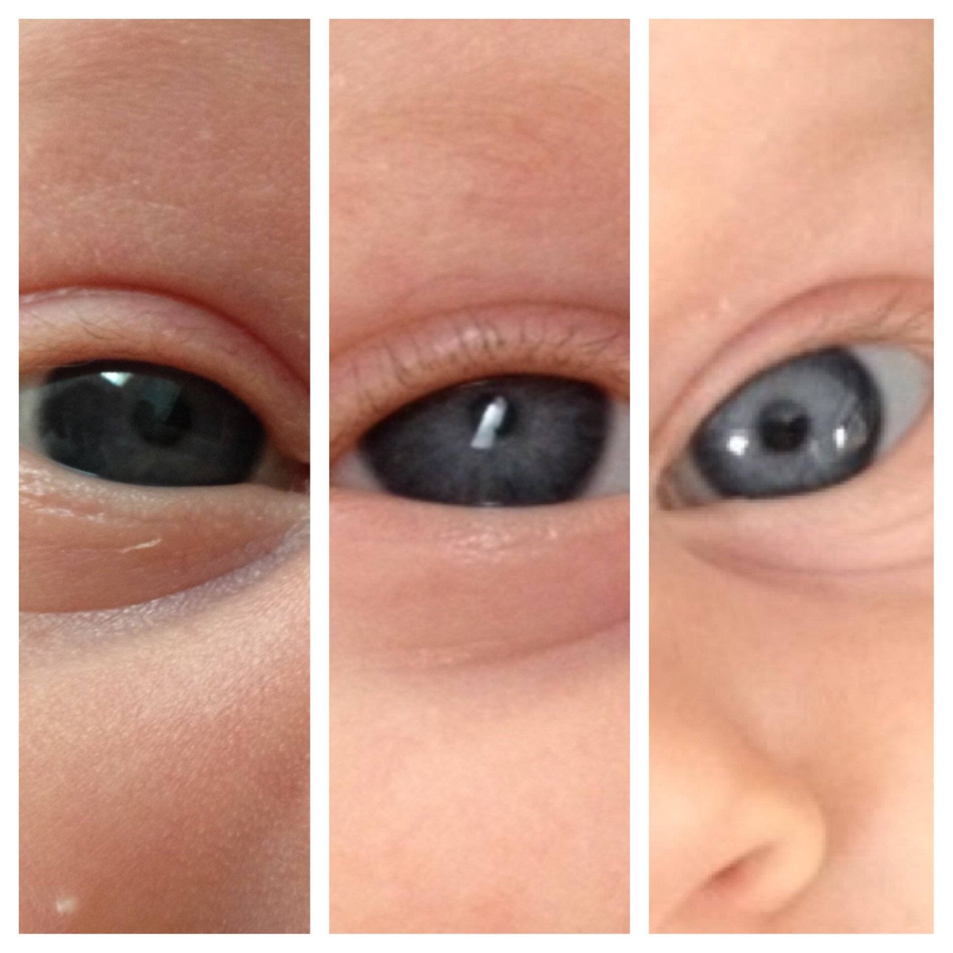 Цвет глаз у новорожденных: таблица, когда меняется и формируется?