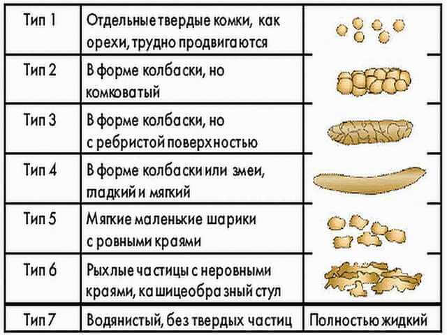 Виды кала у собак