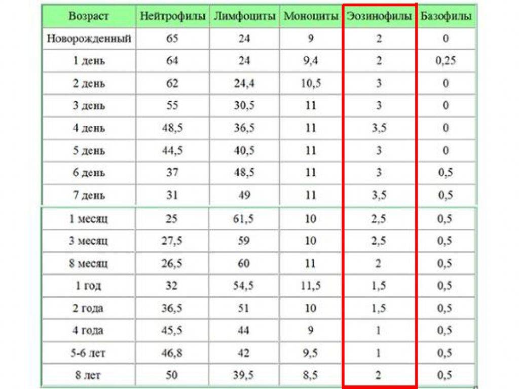 Эозинофилы повышены у ребенка: 10 причин повышения, 7 показаний для анализа