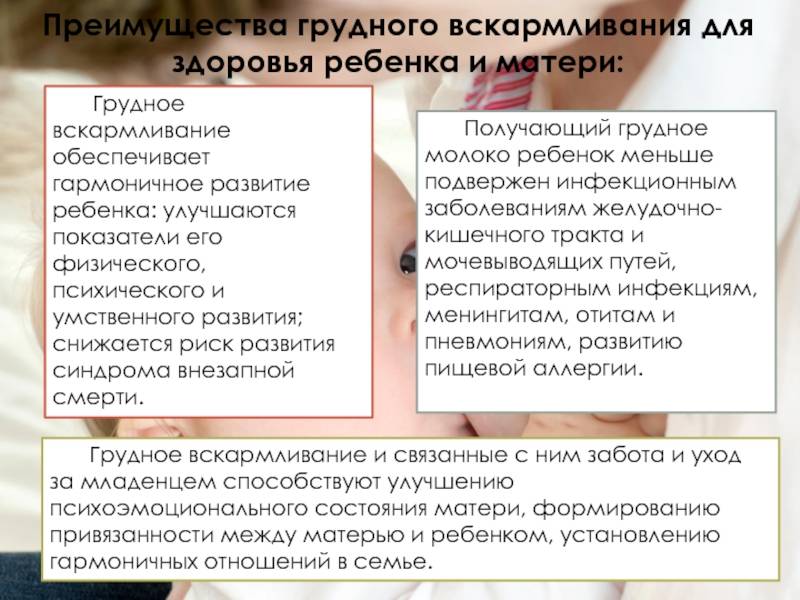 Грудное вскармливание: польза для малыша и мамы 