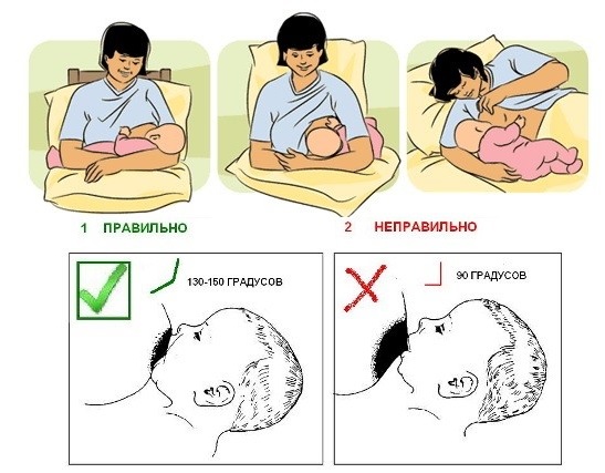 Как правильно держать ребенка столбиком после кормления | ripa-russia.ru
