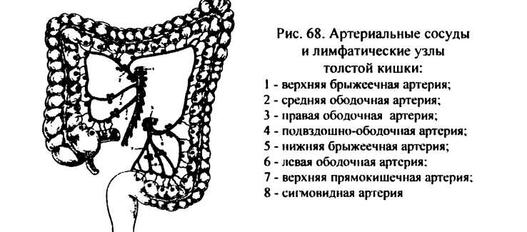 Мезаденит у детей – что это такое? причины, симптомы и лечение воспаления лимфоузлов в кишечнике