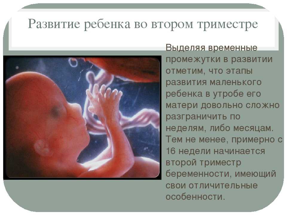 Календарь зачатия, рассчитать календарь зачатия, календарь беременности, срок беременности