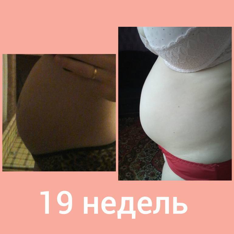 19 неделя беременности: что происходит с малышом и мамой, фото, развитие плода