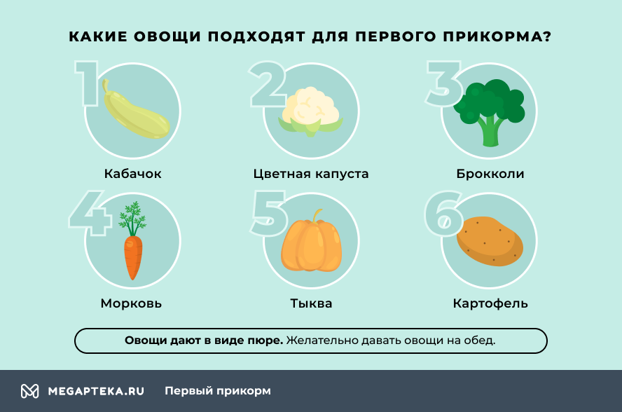 Какие овощи на гв. Схема введения овощей в прикорм. Порядок ввода овощей в прикорм по месяцам. Овощи для прикорма в 6 месяцев. Порядок введения овощей 1 прикорм.
