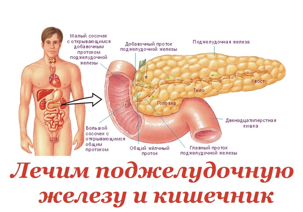 У ребенка воспаление поджелудочной железы: симптомы, лечение