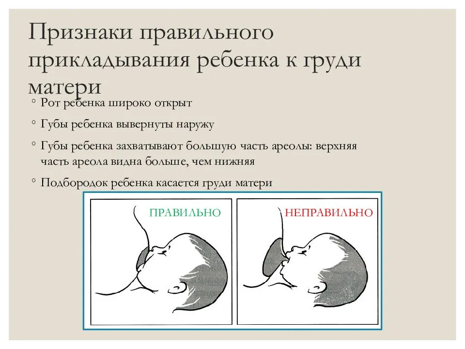 Как организовать грудное вскармливание сразу после родов