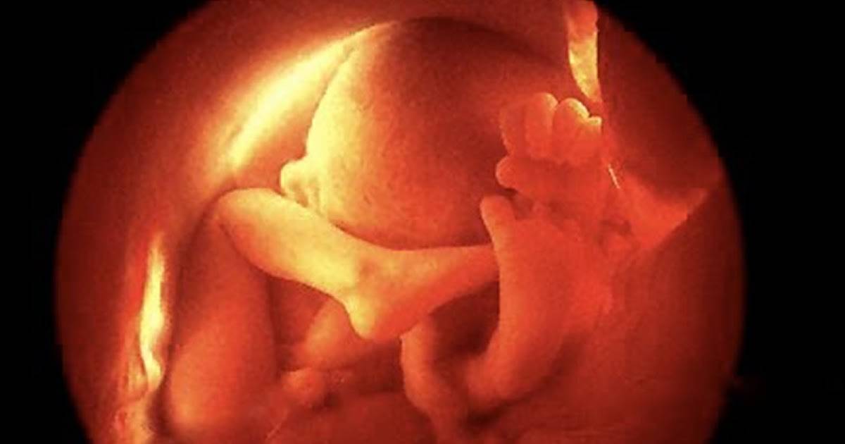 Почему ребёнок икает в животе во время беременности