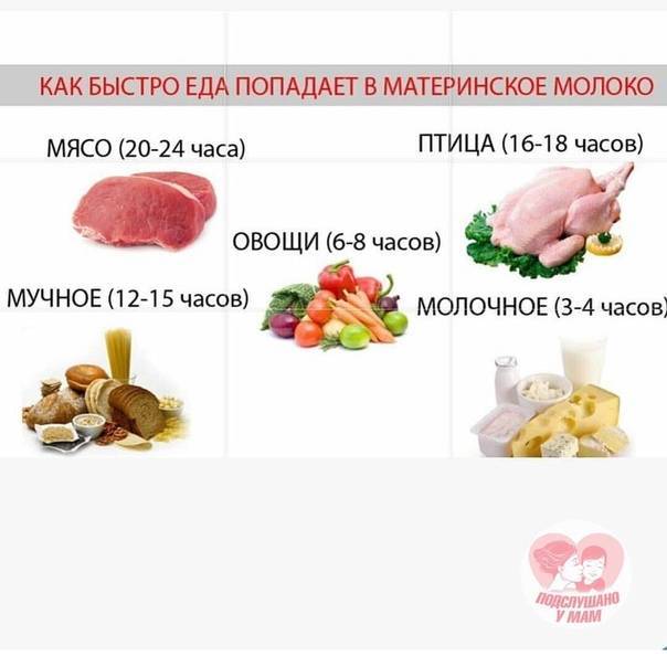 Через сколько еда попадает в грудное молоко? скорость всасывания основных продуктов