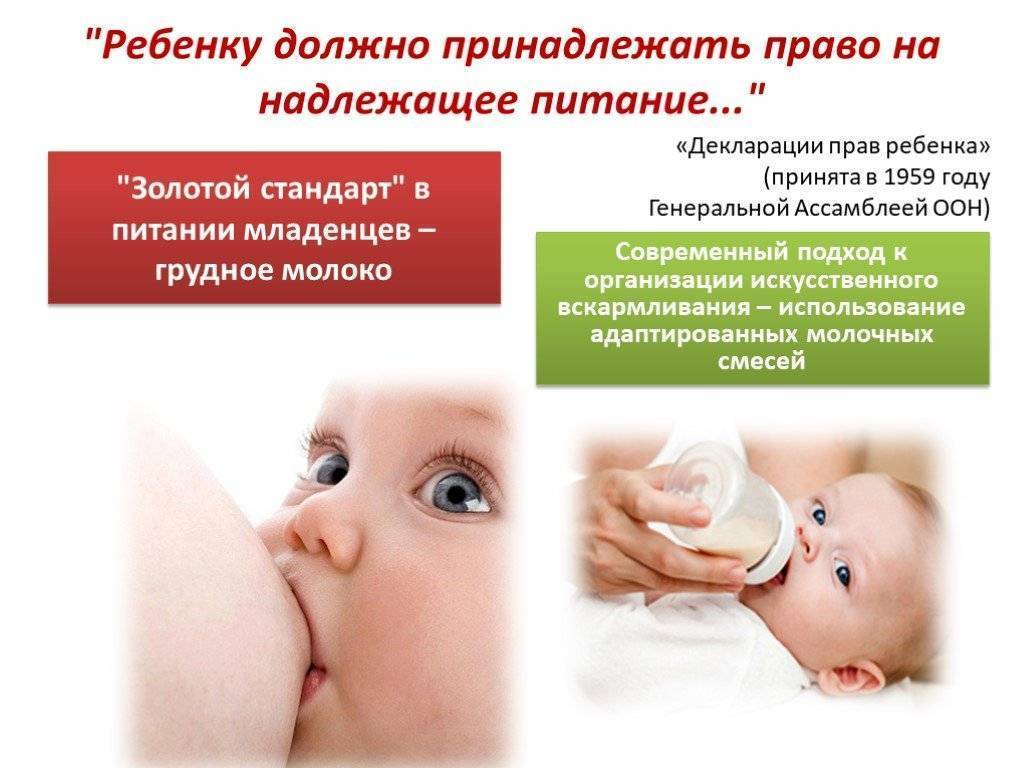 Как правильно кормить малышей грудью: основные правила | уроки для мам