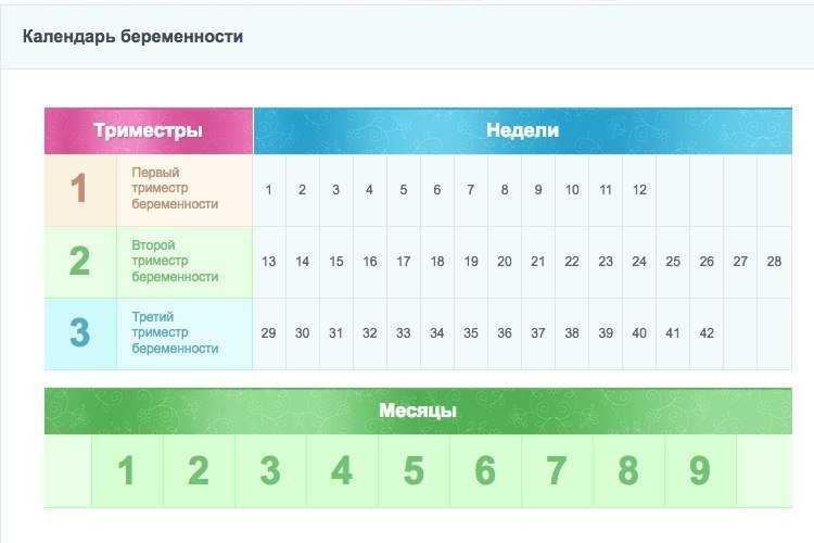 Календарь беременности по неделям, месяцам и триместрам - рассчитать онлайн / mama66.ru