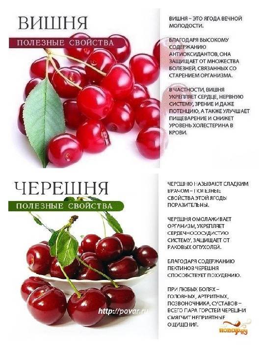Вишня слабит или крепит стул – польза вишни для пищеварения