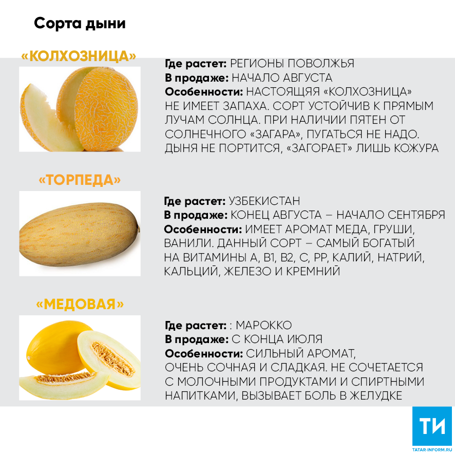 Можно ли детям до года давать арбуз и дыню: оптимальный возраст для введения фруктов в рацион малыша