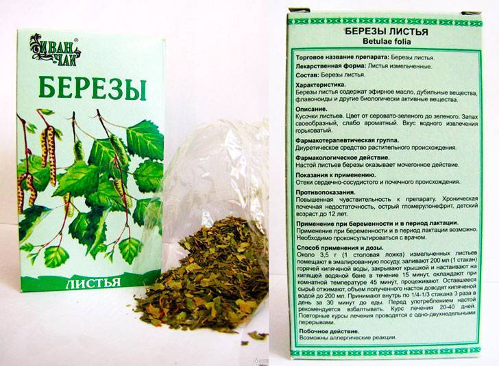 Мочегонные травы при беременности: какие и когда можно принимать