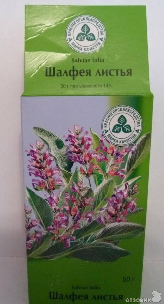 Шалфей для прекращения лактации, как принимать шалфей, шалфейное масло