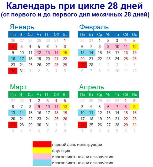 Через сколько дней после месячных можно забеременеть