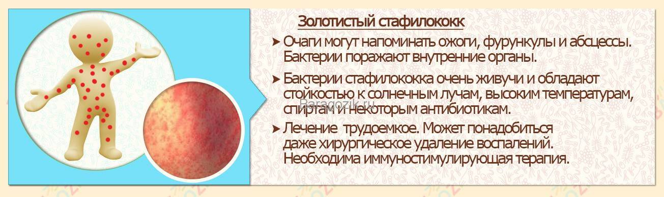 Красная попа у новорожденного